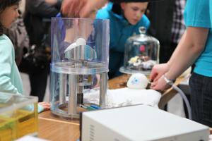 IMG_3662_thumbnail.JPG