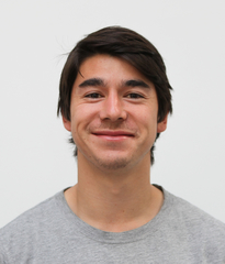 Cv for humboldt fellowship picture